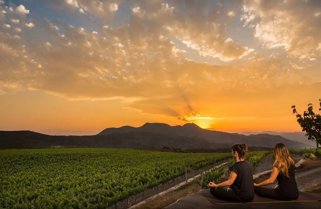 Mindfullness a les Vinyes Perafita de Martín Faixó. Cadaqués, juny de 2019