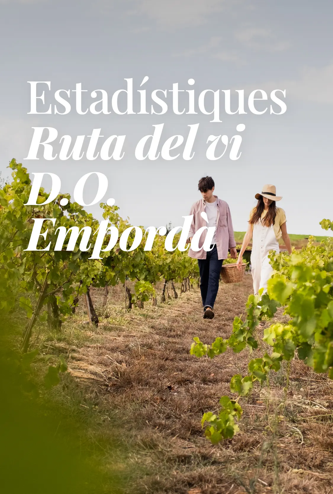 Estudi Estadistiques Ruta del vi