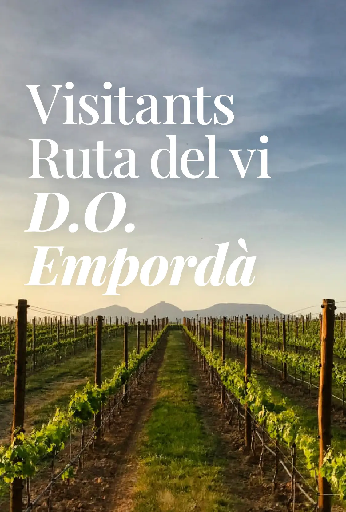 Estudi Visitants Ruta del vi 2023
