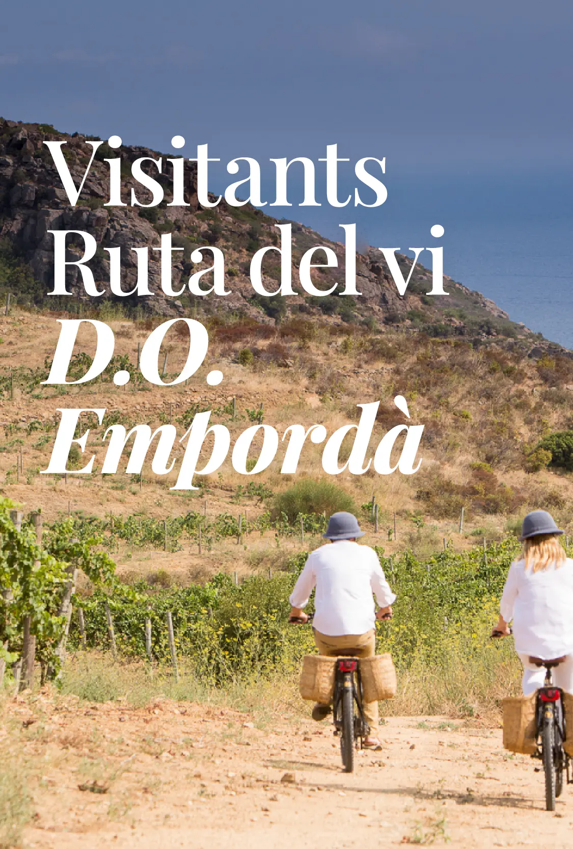 Estudi Visitants Ruta del vi 2024