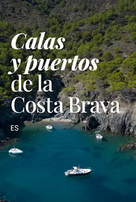 PTCBG Caràtula Digital (270x400px) P02