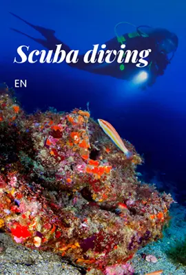 PTCBG_Mapa_Submarinisme_Caràtula_Digital_(EN)[1]