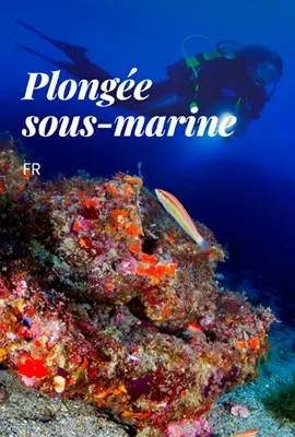 PTCBG_Mapa_Submarinisme_Caràtula_Digital_(FR)[1]