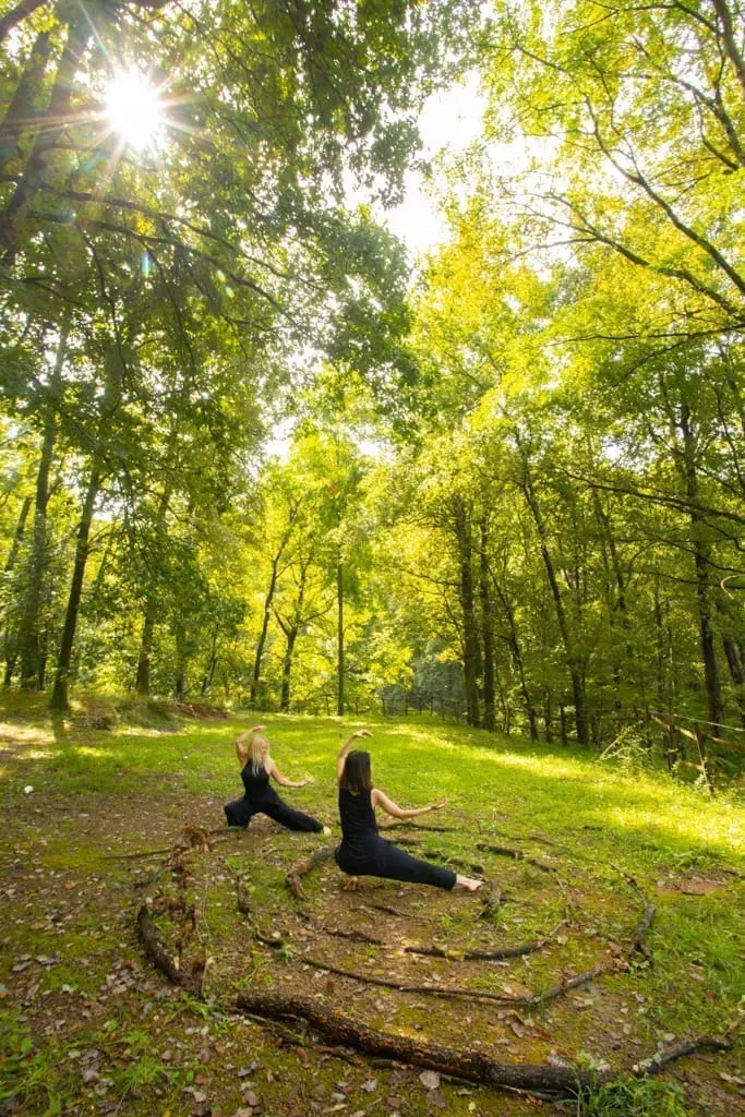 Planoles. Kris Ubach. Arxiu Imatges PTCBG es