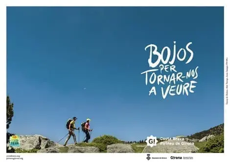 bojos6