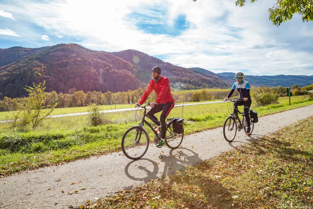 CARROUSSEL VIES CICLABLES Ripollès.-Jase-Wilson.-Arxiu-Imatges-PTCBG