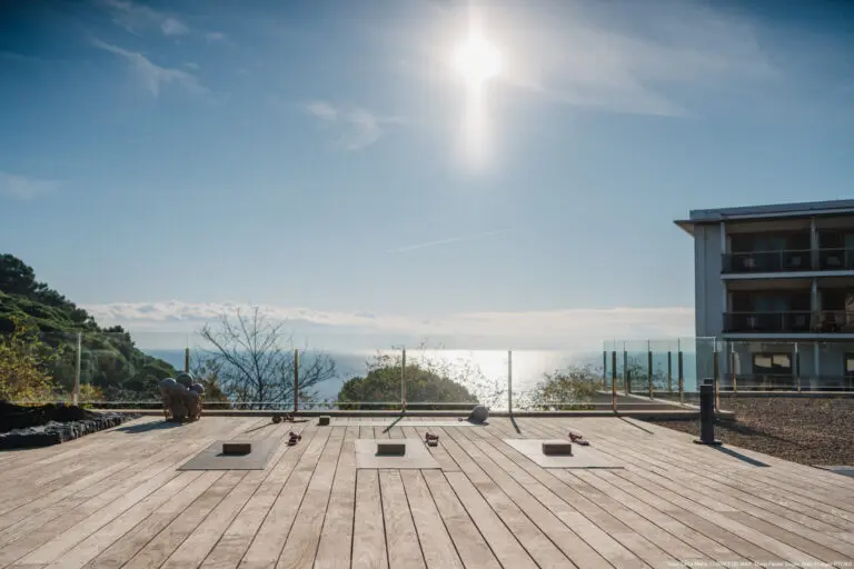 El Benestar com a valor diferencial