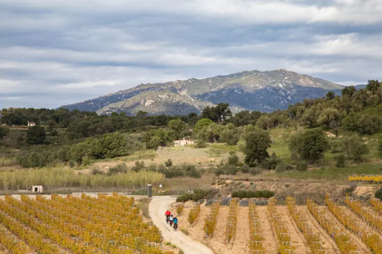 Cultura sobre rodes: com fer els equipaments culturals més amigables amb la bicicleta