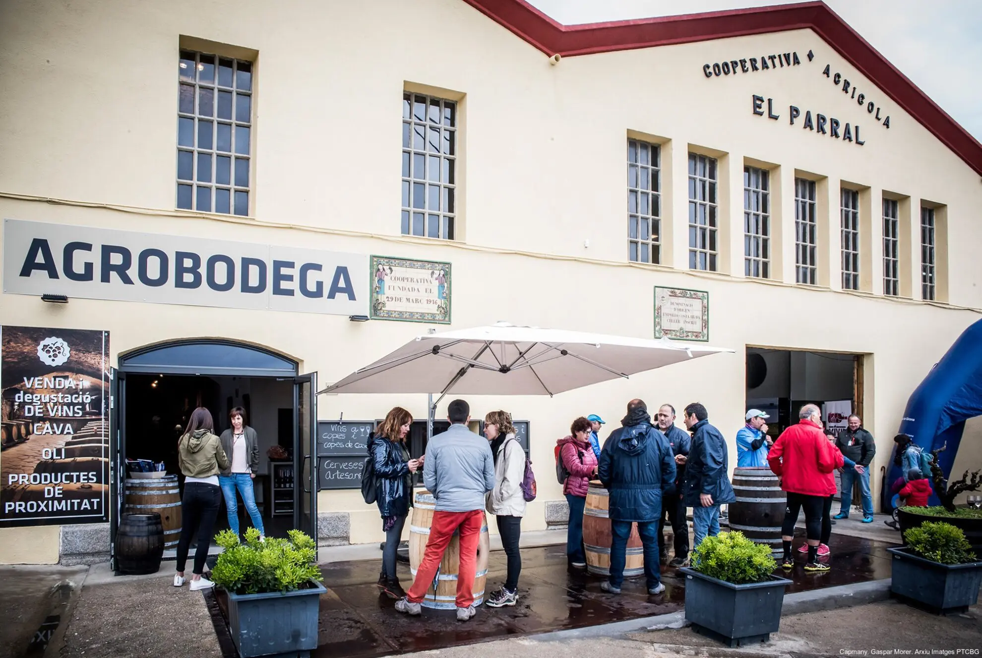 Agrobodega ElParral,Capmany.Gaspar Morer