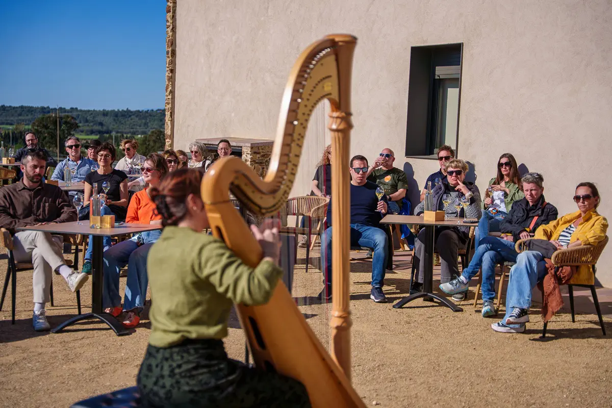 Arpa & Vinyes Matí de Musica i Vins