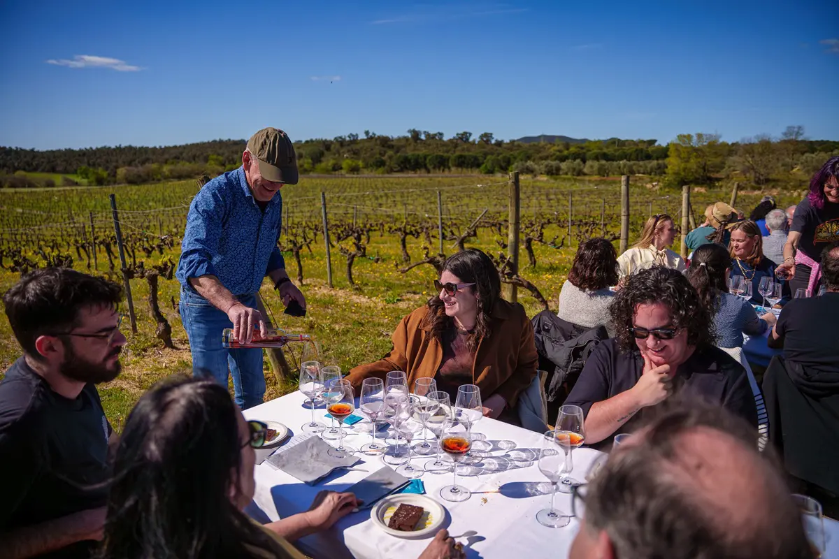 Esmorzar entre vinyes al Celler Pere Guardiola & Restaurant Falconera