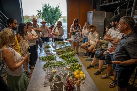 Experiencia La Vinyeta