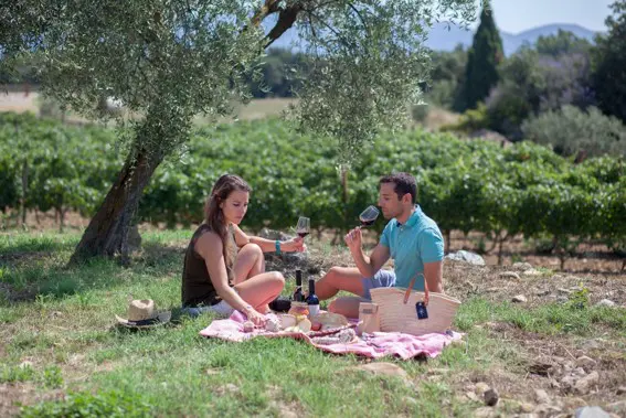 Picnic entre vinyes.