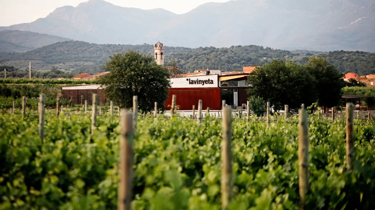 La Vinyeta. Arxiu imatges PTCBG