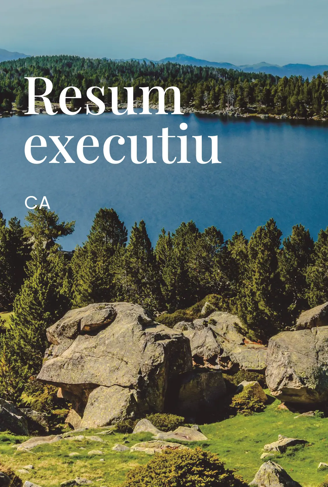 Resum executiu Pla Estratègic