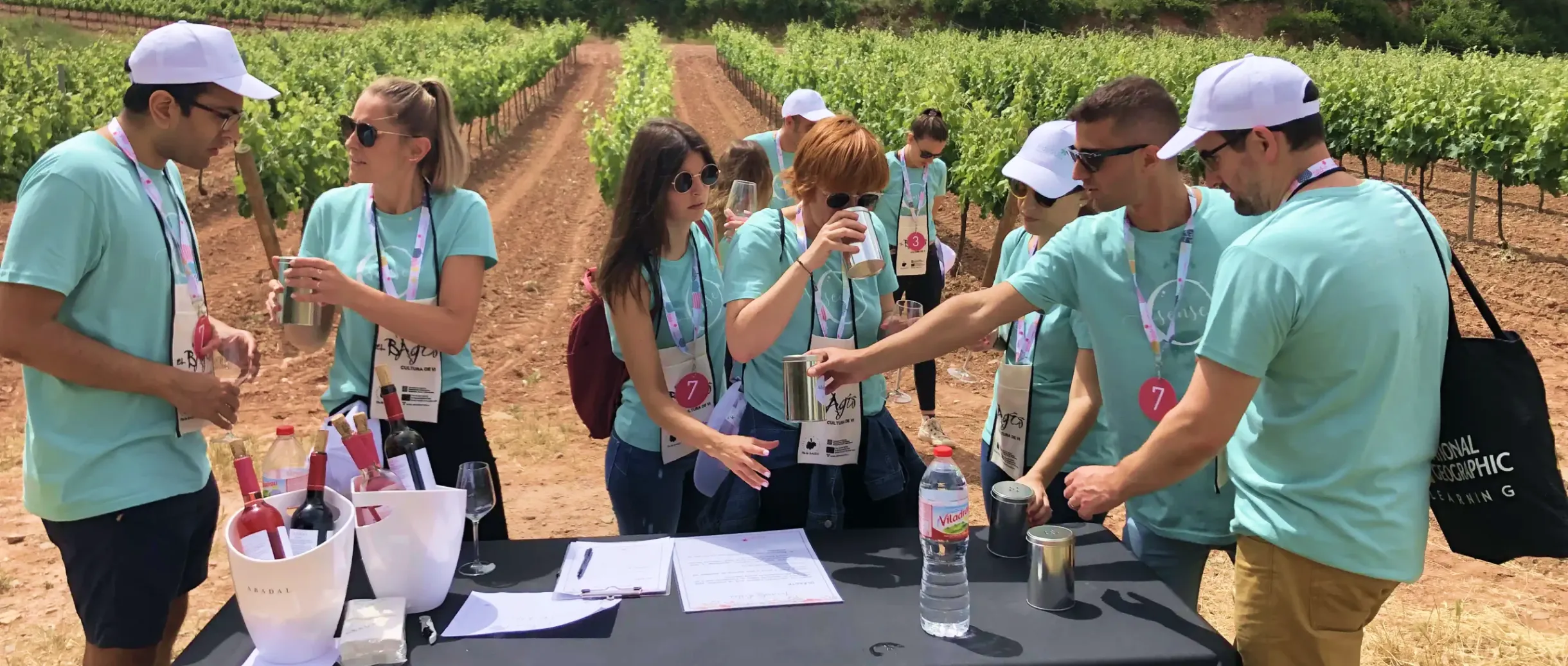 Vineyards-Senses-Raid