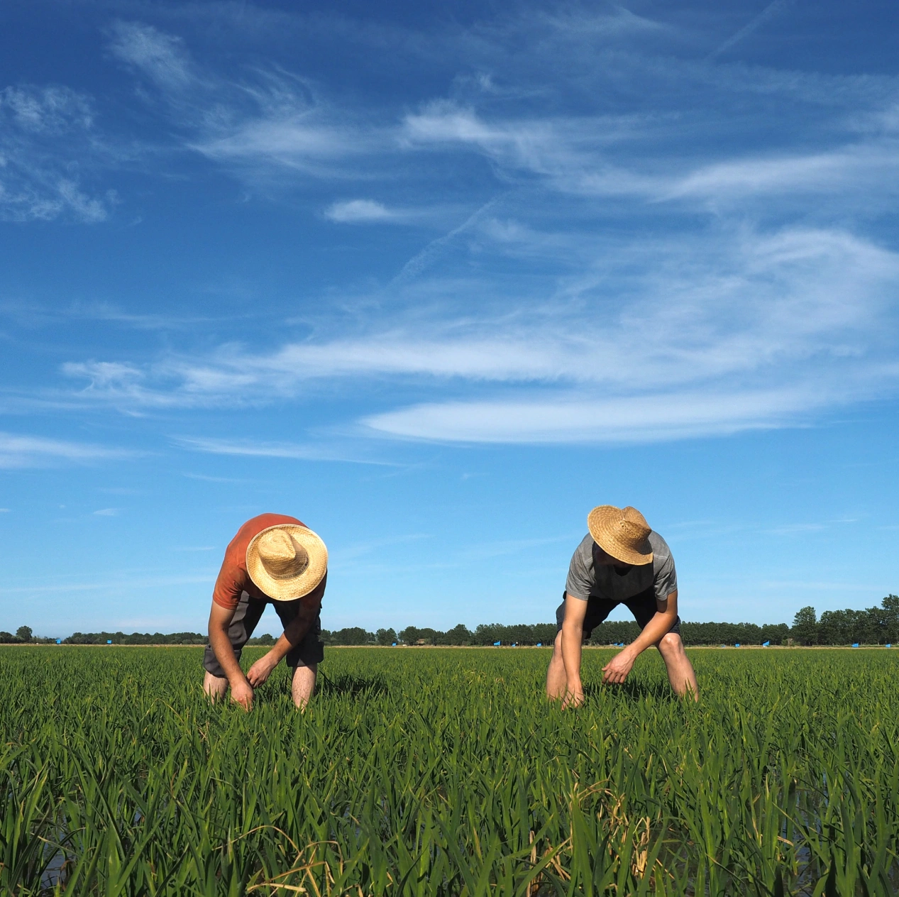 Pals. Pere Duran. Arxiu Imatges PTCBG 1